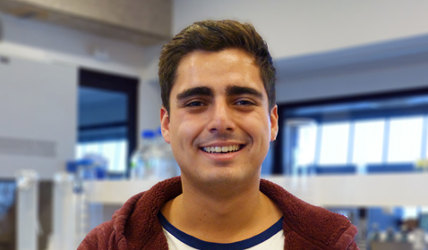 Yair Dovon