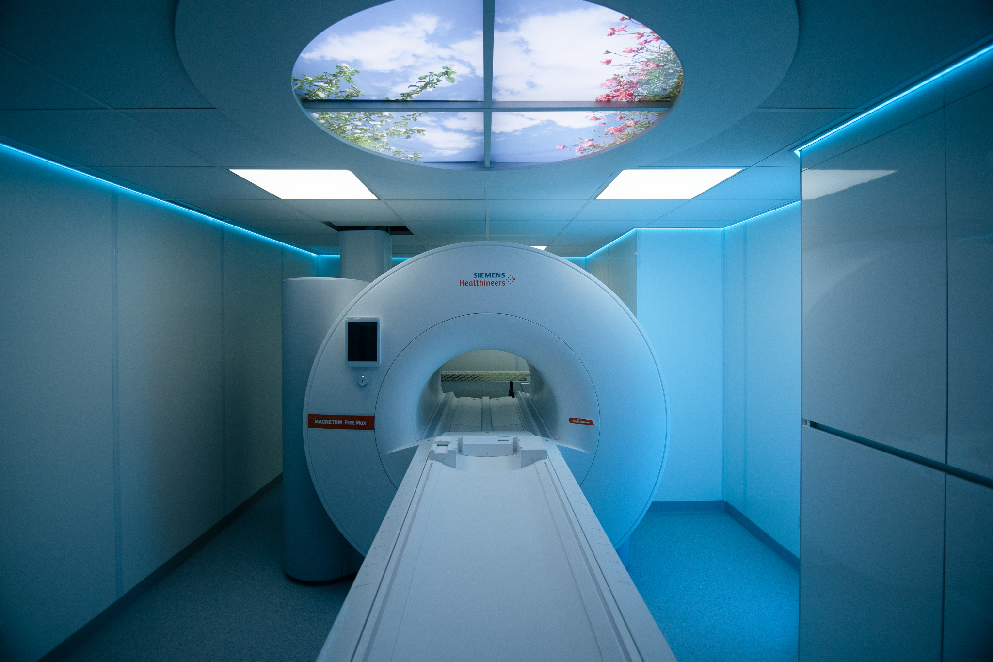 Investigación en Imagen Biomédica IIBM